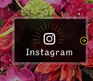 sp_bnrhalf_insta